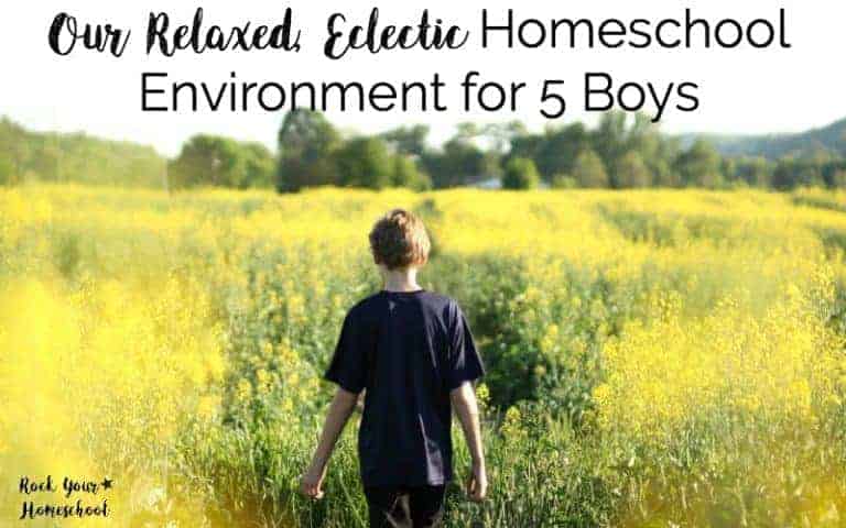 boy in field to feature our relaxed eclectic homeschool environment for 5 boys