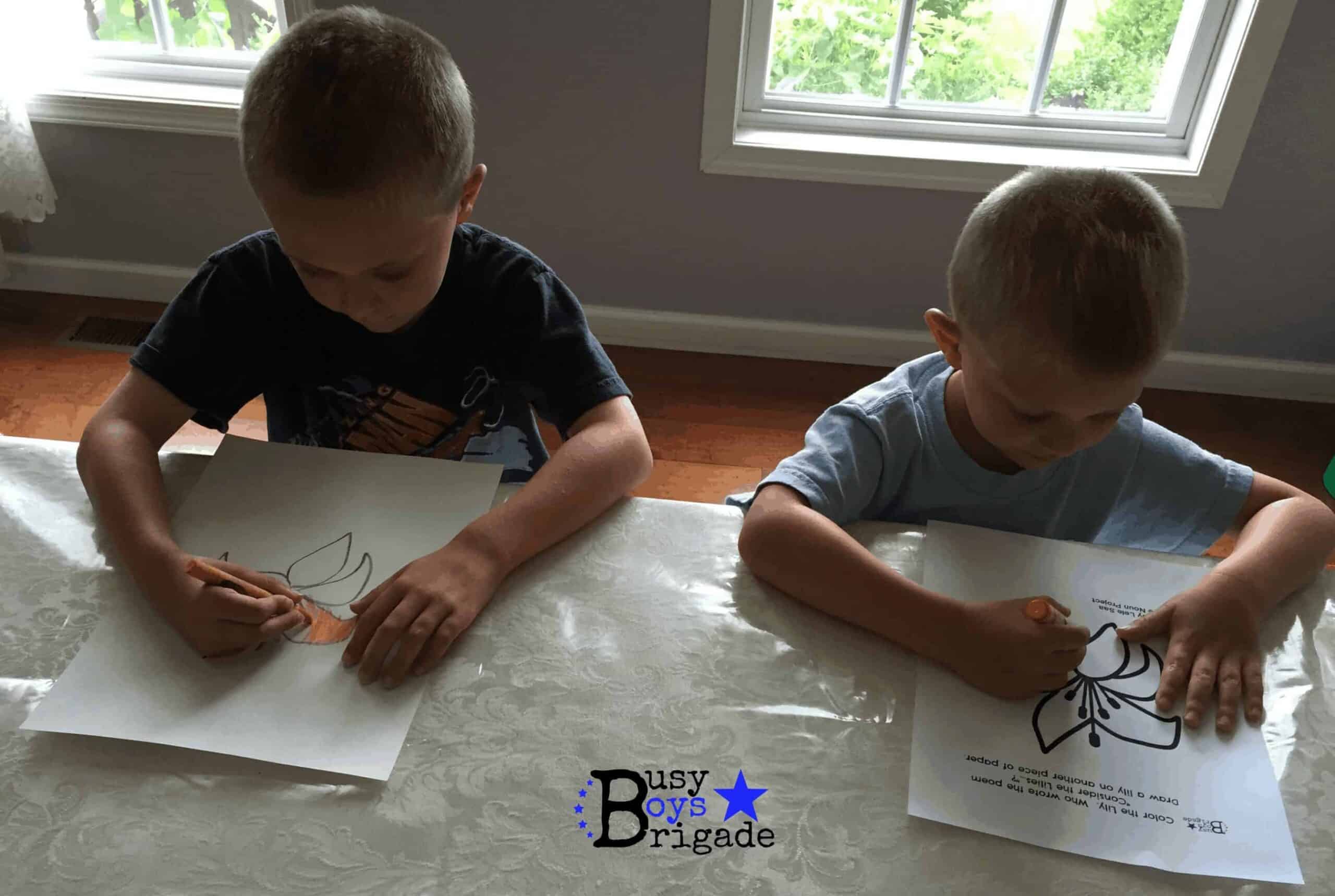 boys coloring lily flowers for Life of Fred Butterflies activity