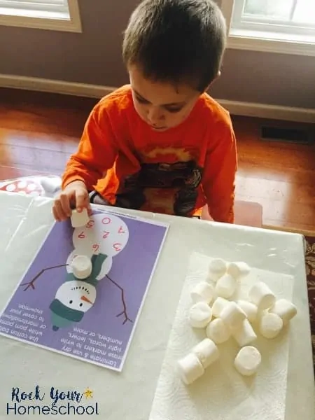 You can use these 6 winter work mats for tons of learning fun with your kids.