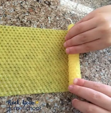 Up close look at how kids can roll their own beeswax candles for fun and easy projects.