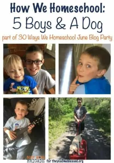 Wonder how we homeschool 5 boys and get it all done?  Check out this guest post I wrote for They Call Me Blessed.