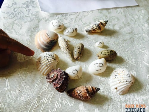 Seashell activities using crayons are fun for kids of all ages.