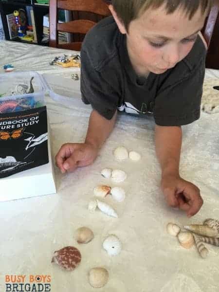 Seashell activities can be a fun way to practice math concepts like skip counting.