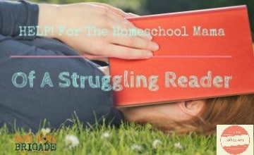 HELP! For The Homeschool Mama Of A Struggling Reader