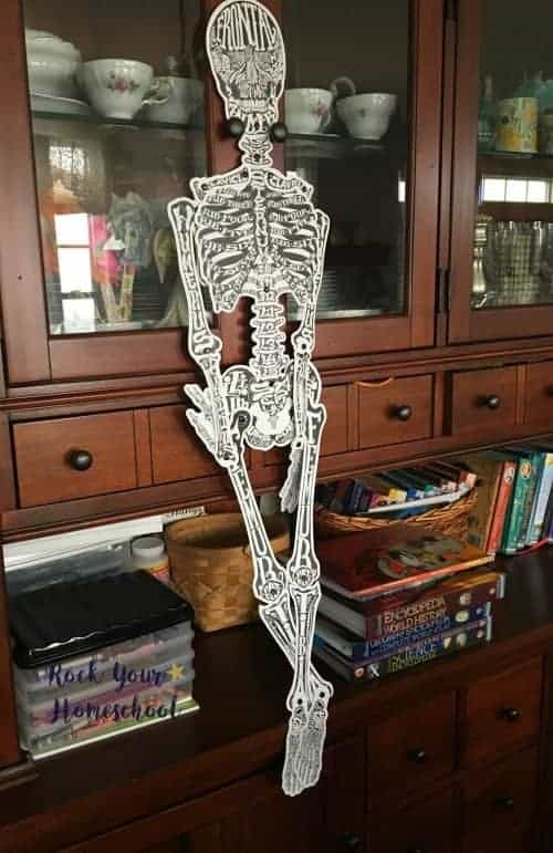 STEM-Based learning fun is possible with cool activities like this skeleton from Know Yourself Adventure Series.