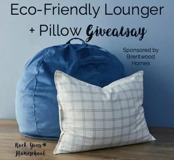 eco-friendly lounger and pillow from Brentwood Homes