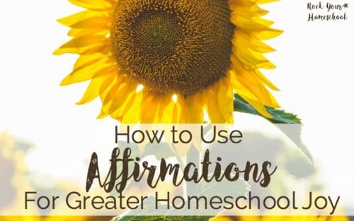 A close up of a sunflower to feature how to use affirmations in your homeschool