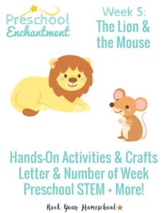 Preschool Enchantment Unit Studies week 5 for The Lion and The Mouse