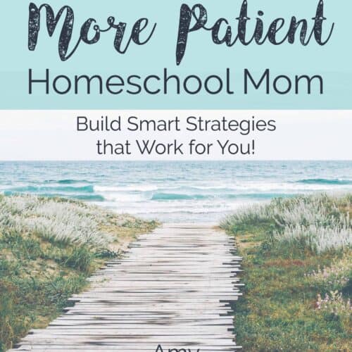path to beach to feature the guide on how to be a more patient homeschool mom