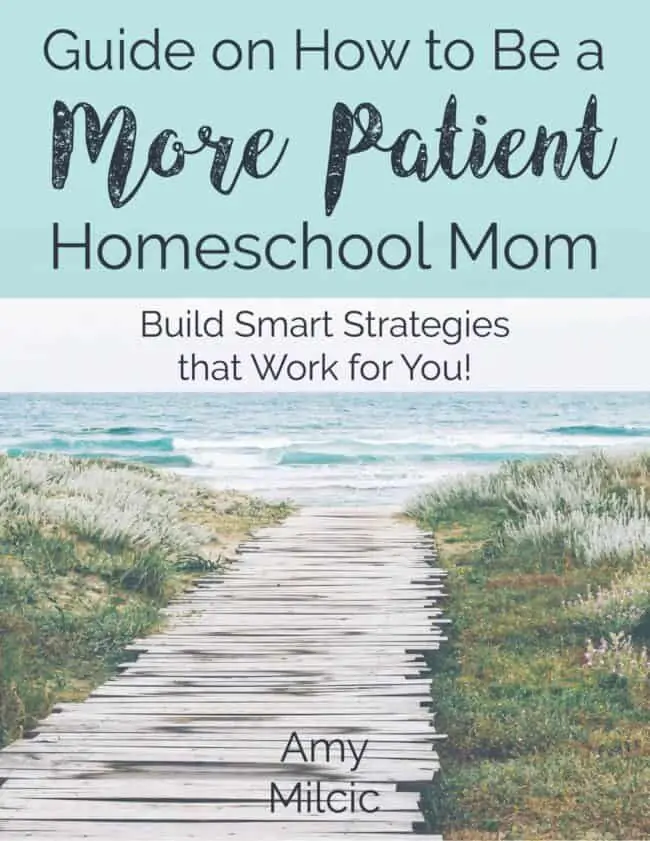 path to beach to feature the guide on how to be a more patient homeschool mom