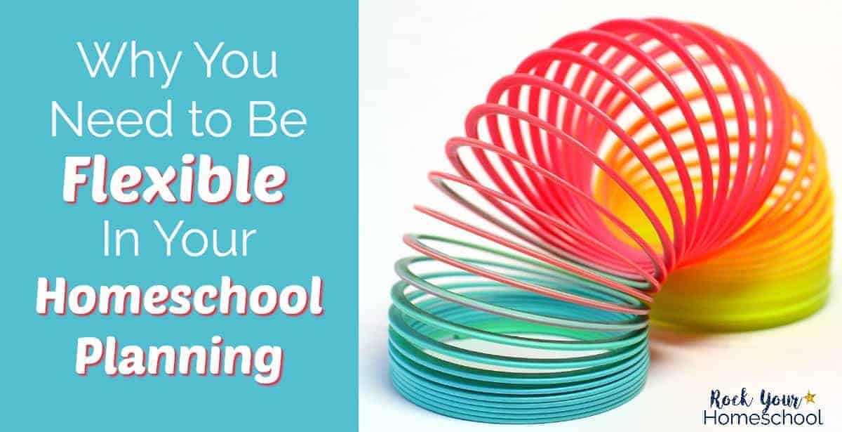 Discover the joys of being more flexible with your homeschool planning. Set the stage for a relaxed homeschooling atmosphere (and ditch the stress!).