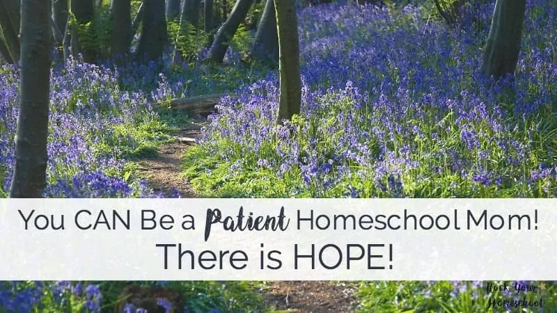 Discover the 10 Habits of Patient Homeschool Moms & how you can use to be on the path to homeschool peace.