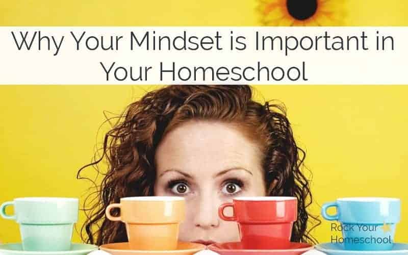 Want to transform your homeschool. Find out why your mindset plays a vital role & what you can do about it.