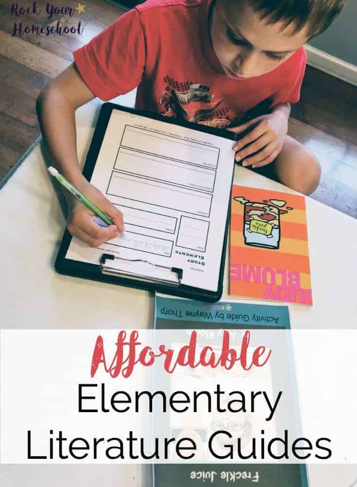 Get the help you need for reading with these affordable & easy-to-use elementary literary guides. Great ways to boost your homeschool!