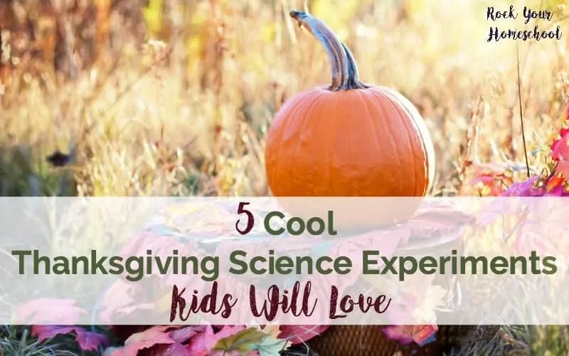 5 Cool Thanksgiving Science Experiments Kids Will Love