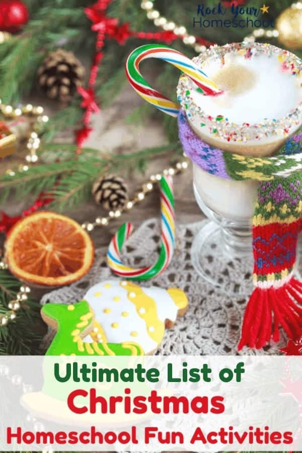 Hot chocolate with whipped cream and rainbow sprinkles in glass mug with rainbow candy cane & scarf, dried orange slice, Christmas cookies, pine, pine cones, lace doily
