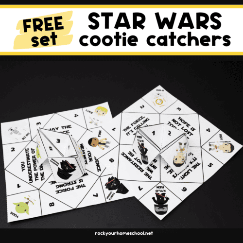Examples of folded and pages of Star Wars cootie catchers.