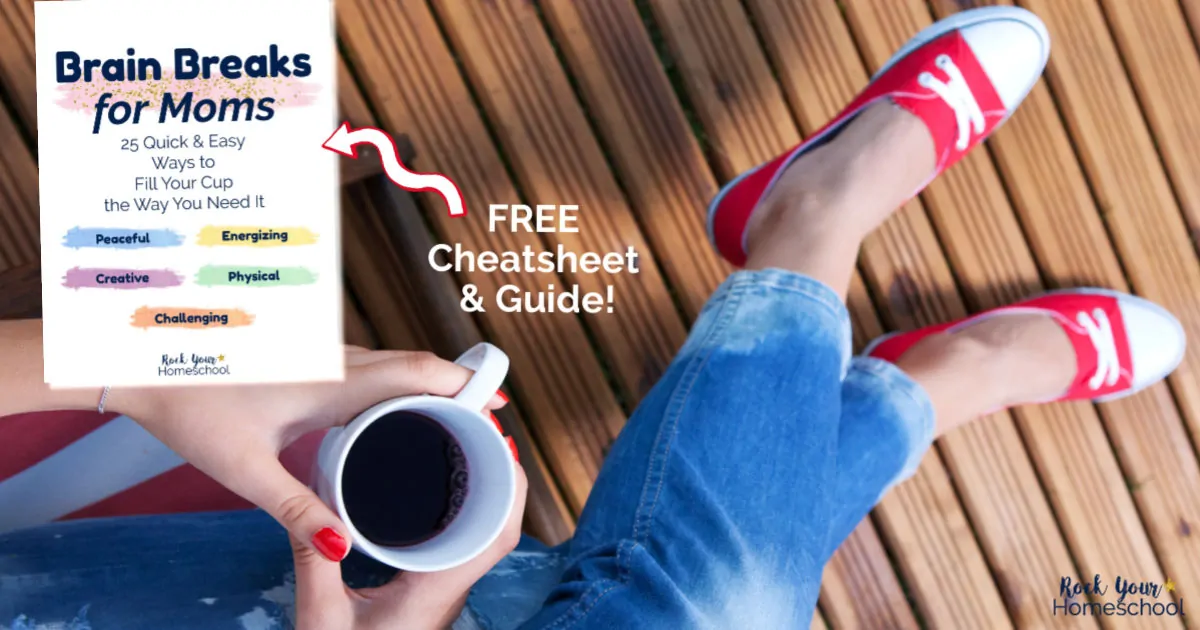 Find out how Brain Breaks for Moms can help you feel like yourself again! Get this free cheatsheet  and guide filled with ideas for quick &amp; easy self-care.