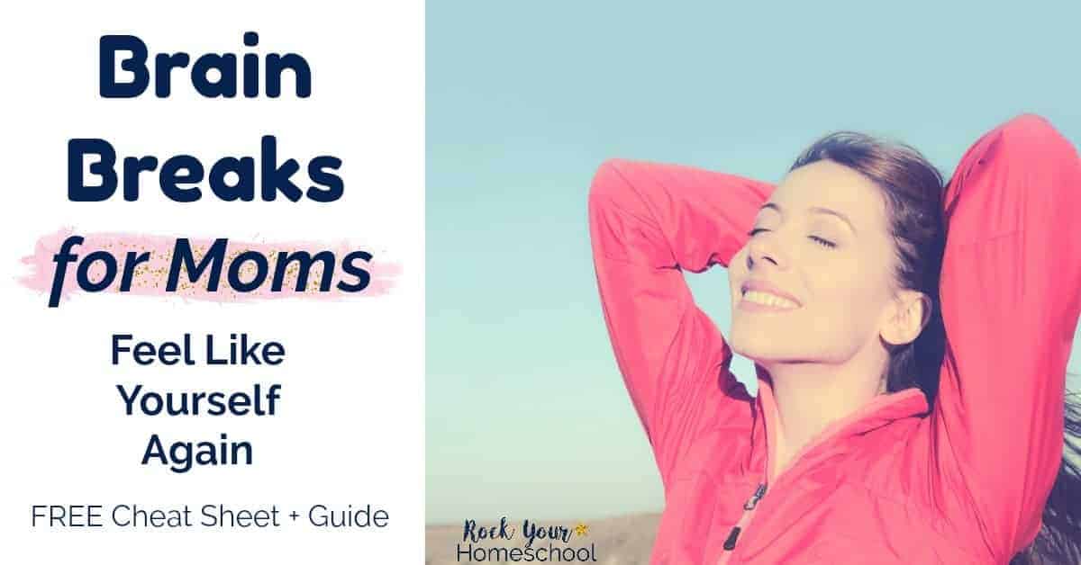 Forget frazzled & freaking out! Feel like yourself again with Brain Breaks for Moms.