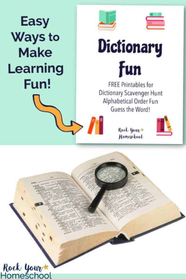 Dictionary Fun cover with colorful books and open dictionary page with magnifying glass on white background