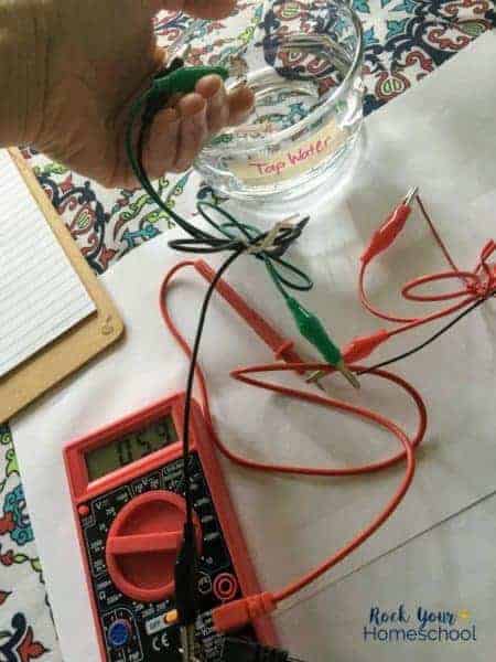 Fun Homeschool Science Project: What's the Best Electrolyte Drink ...