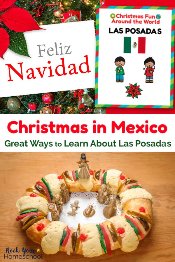 Feliz Navidad on white tag & red poinsettia flower and Three Kings Cake on light wood background with Christmas Fun in Mexico cover