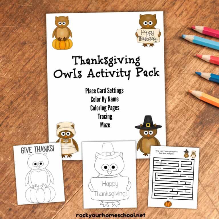 Free Printable Thanksgiving Owls Activity Pack