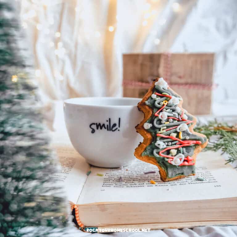 Winter pine tree decoration, Christmas tree cookie, coffee mug with Smile!, book, and present to feature these Christmas fun days for kids.
