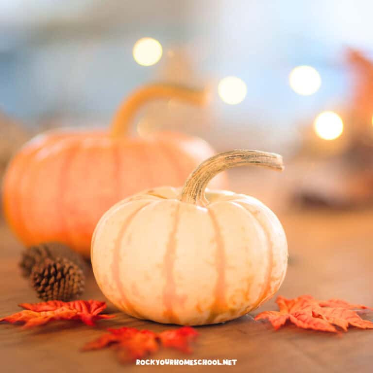 Pumpkins, leaves, pine cones, and lights for November fun days for kids.