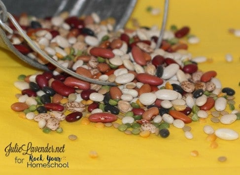 Get great ideas for enjoying National Bean Day & more January Fun Days with your kids.