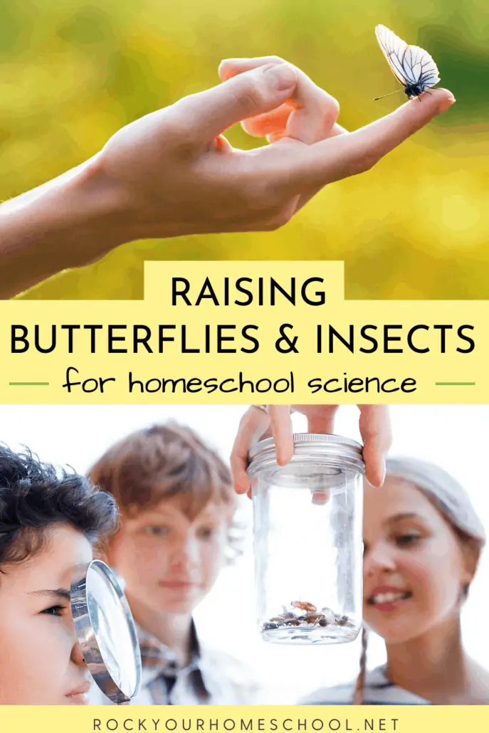 Person holding butterfly on finger and kids observing insects in a jar to feature the awesome homeschool science fun you\'ll have with these tips for raising butterflies and insects