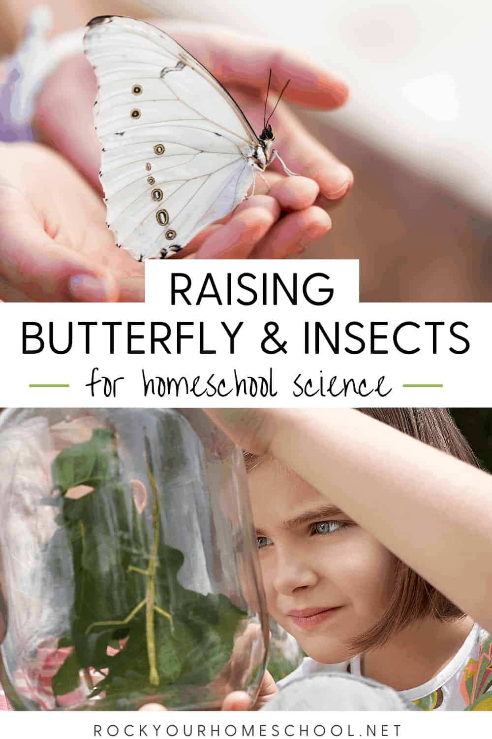 Person holding butterfly and girl looking at jar with insects to feature the amazing science fun your kids will have with these homeschool projects for raising butterflies & insects