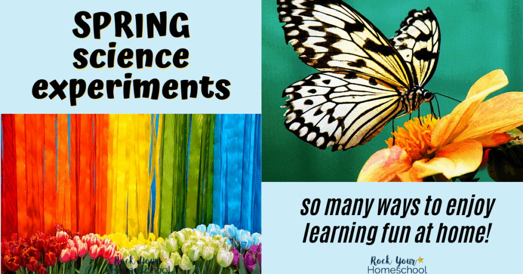 Make the most of this special time of year with these super fun Spring Science Experiments.