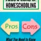 Yellow arrow with Pros and Pink arrow with Cons to feature the real pros and cons of homeschooling.