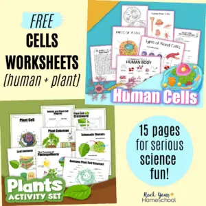 Enjoy serious science fun with these 15 free cells worksheets (human and plants).