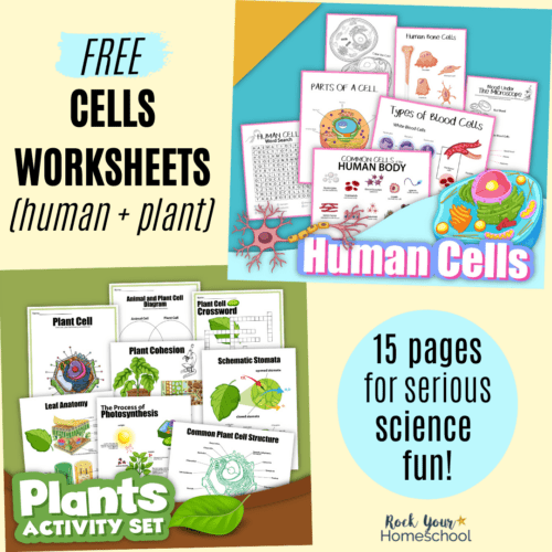 free cells worksheets featuring animal cells and plant cells
