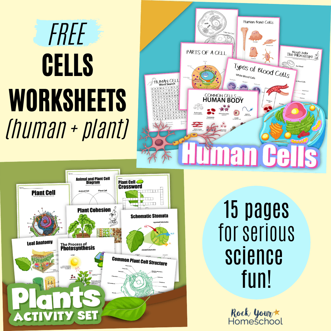 Cells Worksheets for Science Fun - Rock Your Homeschool