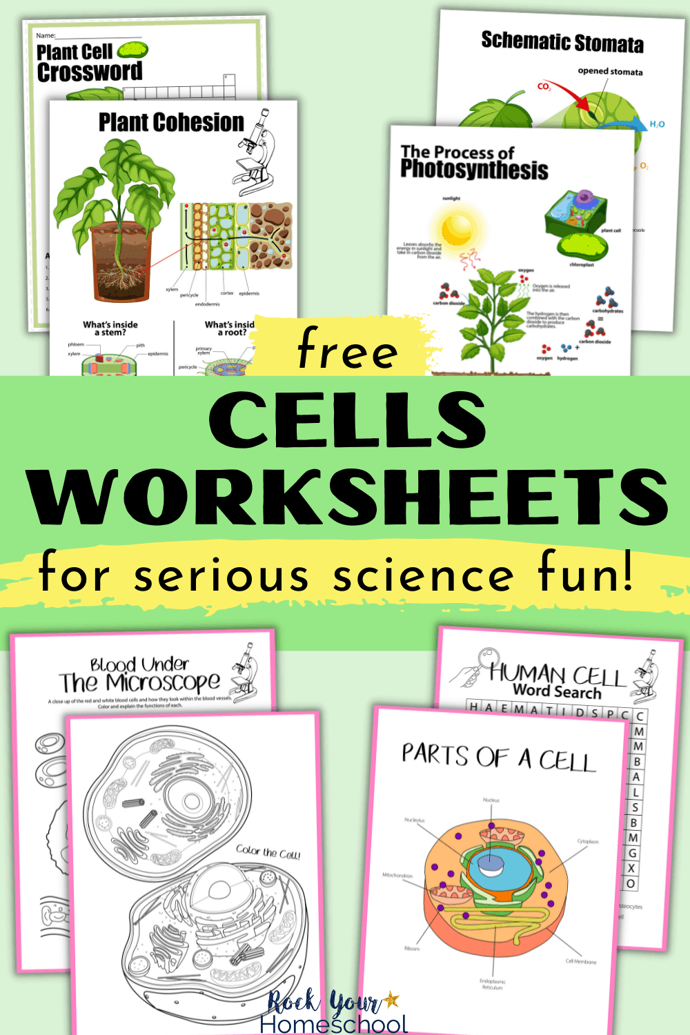 Free Cells Worksheets for Super Fun Science Activities for Kids