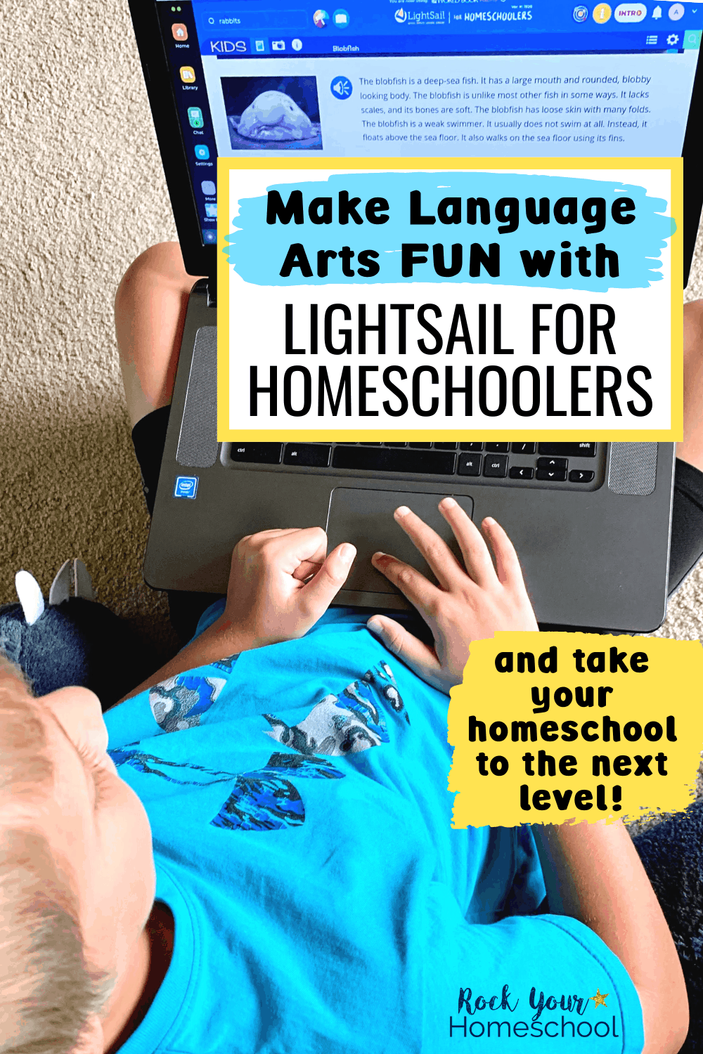 Boy using laptop to learn about blobfish to feature how you can use LightSail for Homeschoolers to make language arts fun for your kids