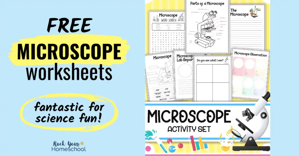 These free microscope worksheets are fantastic for science fun. Grab this pack of 7 pages to boost learning all about microscopes.