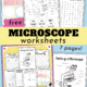 Microscope worksheets for observation, cut-and-paste, word search, parts of microscope, and cover to feature the science fun you'll have with this free set of microscope printables