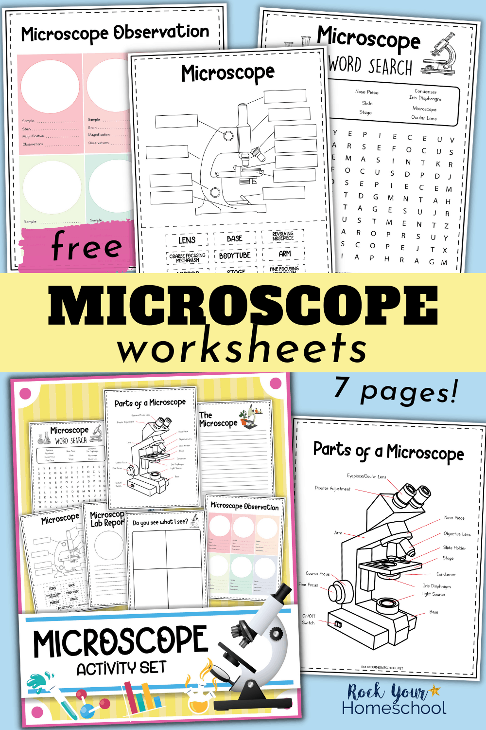 Free Microscope Worksheets for Simple Science Fun for Your Students