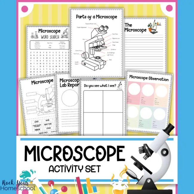 cover for free microscope worksheets set