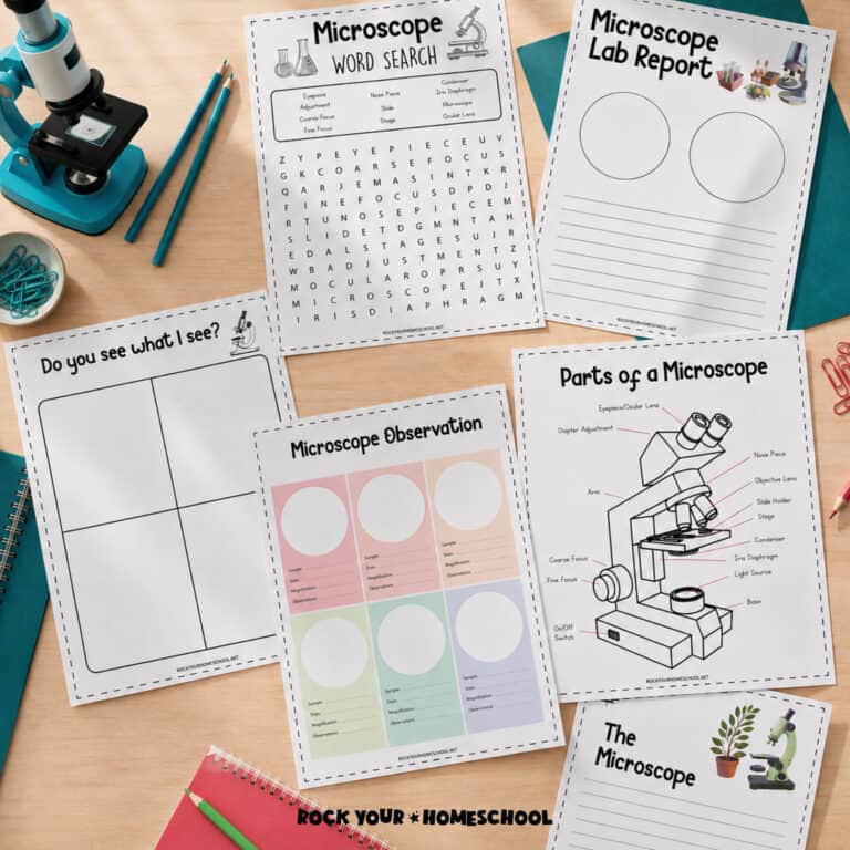 7 free printable microscope worksheets for kids for science fun.