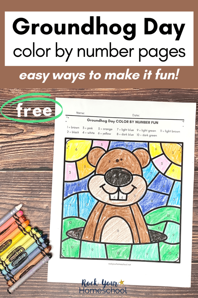 Groundhog Day color by number page with crayons on wood background