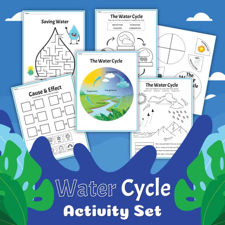 Water Cycle Worksheets - Rock Your Homeschool