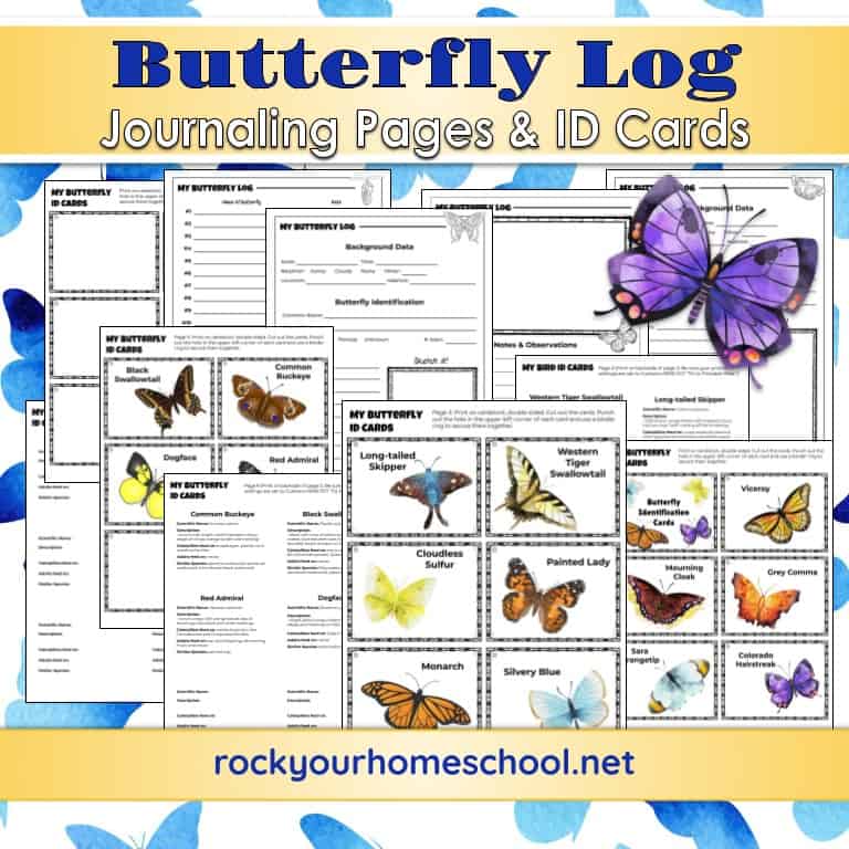 These 14 free butterfly printables featuring identification cards and logs are wonderful ways to boost science fun and more.
