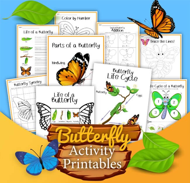 This free set of life cycle of a butterfly activities is an excellent way to boost your science fun with kids.