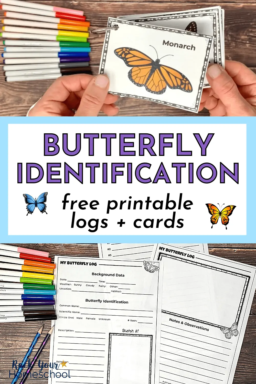 14 Free Butterfly Printables for Identification and More Fun Activities