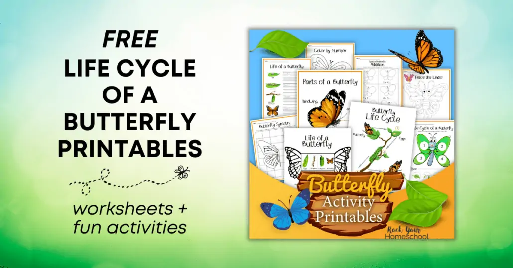 This free set of life cycle of a butterfly printables is an excellent way to easily boost your science fun with kids.